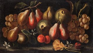 Scuola dell'Italia centrale, secolo XVII - Plums, white grapes, figs, jasmine and a rose on a plane