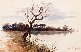 Carlo Montani (Saluzzo 1868-Roma 1936)  - Tree in the swamp, 1891