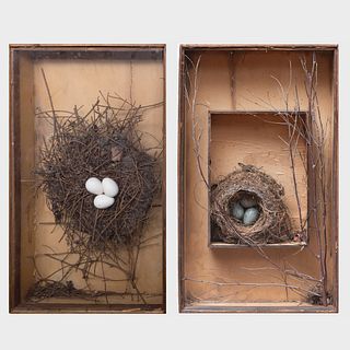 Pair of Belgian Bird Nest Dioramas Attributed to Jean Pierre Laurent
