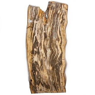 Petrified Wood Slab 35.0" W x 15.0" H x 2.25" Thick