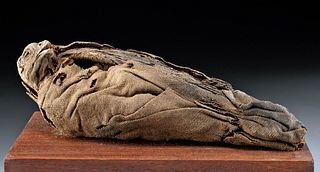 Egyptian Ptolemaic Mummified Falcon