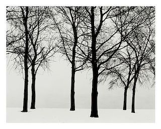 Harry Callahan, (American, 1912-1999), Chicago (trees in snow), 1950