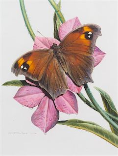 Carl Brenders, (American, b. 1937), Butterfly
