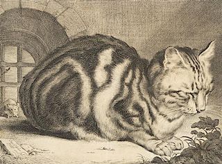 Cornelis Visscher, (Dutch, 1629-1658), The Large Cat, c. 1657