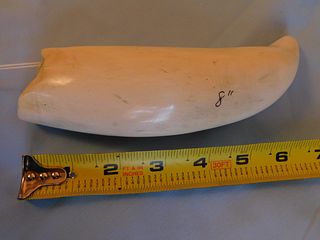 CURVED RAW WHALE TOOTH