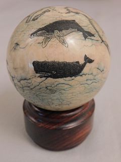 SCRIMSHAW TOOTH OF GLOBE 
