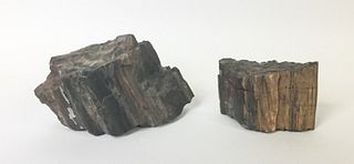 2 Pieces Petrified Wood