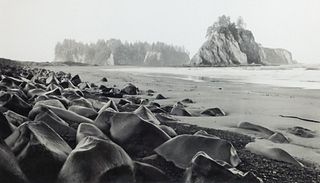 Black and White Photo of Rocks on a beach