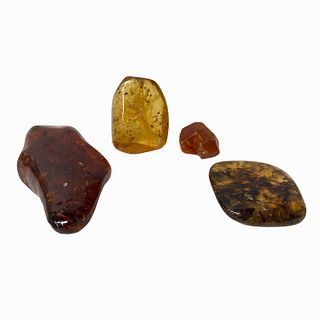 Baltic Amber Resin Containing Fossilized Insects