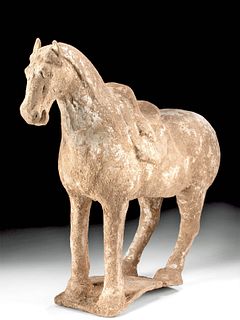 Impressive Chinese Tang Dynasty Terracotta Horse
