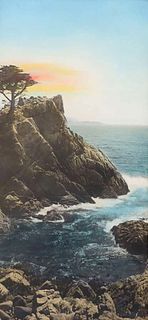Antique Hand-Tinted Photo Lone Cypress c1920