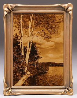 Antique Gold Tone Photo Lakeside Birch Trees c1910