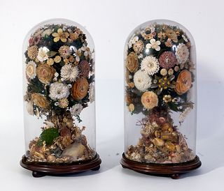 Pareja de floreros de conchas isabelinos con fanales en vidrio y base en madera. España, segunda mitad del siglo XIX.