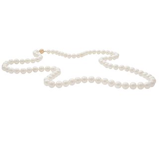 Cultured South Sea Pearl, 14k Yellow Gold Necklace