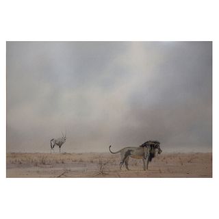 Kim Donaldson, Kalahari Lion