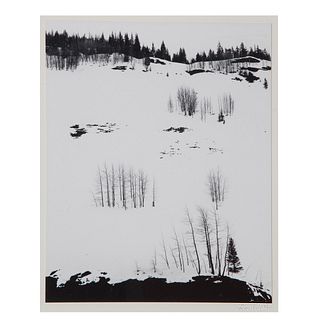 Don Worth, Aspen Trees and Snow, Colorado