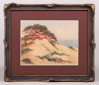 Watercolor Windswept Monterey Cypress c1910