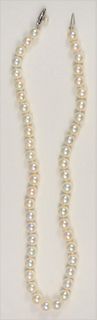 Single Strand of Pearls 
with 14 karat white gold clasp, set with one pearl
length 15 1/2 inches
7.4 millimeters