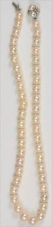 Pearl Single String Necklace
graduated pearls, having 14 karat white gold clasp, mounted with two pearls, and eight diamonds
length 17 inches
7.9 mill