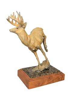 Sherri Salari Sander (American, b. 1941)
Whitetail Deer, 1993
bronze with white and green patina
inscribed and numbered 25/35 on the base
height 15 in