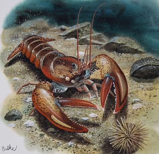 Don Balke (B. 1933) "American Lobster"