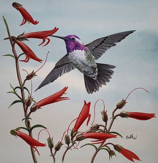 Don Balke (B. 1933) "Costa's Hummingbird"