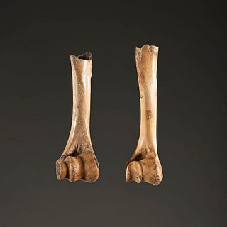 A Pair of Bone Torch Handles, Largest 5-1/2 in.