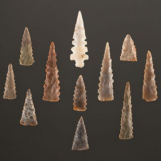 A Group of Serrated Fox Field Points, Largest 2-1/4 in.