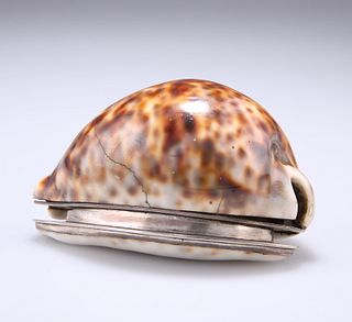 A GEORGE III SILVER AND COWRIE SHELL SNUFF, LATE 18TH CENTU