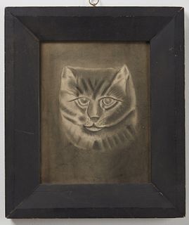 Portrait of a Cat in Graphite