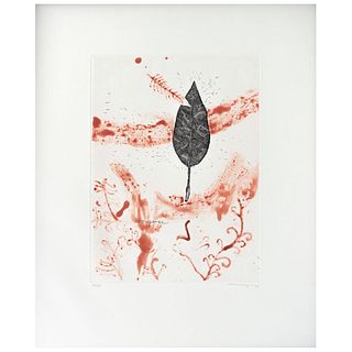 MAGALI LARA, Romperse, Signed and dated 94, Sugar lift and etching on print 72 / 100, 15.7 x 11.8" (40 x 30 cm)