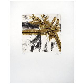 SANDRA PANI, Untitled, Signed and dated 07, Etching and aquatint 2 / 200, 5.5 x 5.5" (14 x 14 cm)