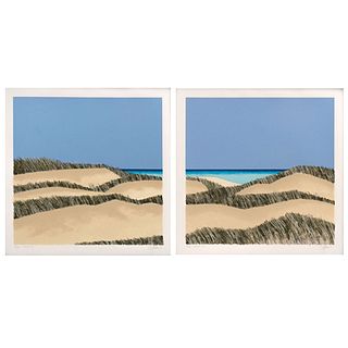 ENRIQUE CATTANEO, Dunas II, Signed, Serigraphies 90 / 100 and P. A., 17.7 x 17.7" (45 x 45 cm), Pieces: 2