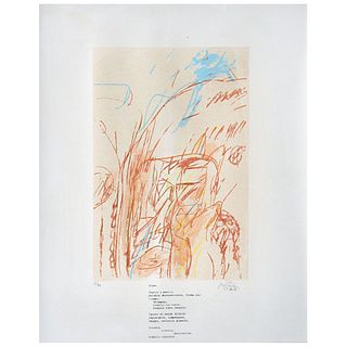 ROGER VON GUNTEN, Signo, Signed and dated 2018, Serigraphy 16 / 30, 17.3 x 11.8" (44 x 30 cm)