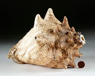 Inca Conch Shell Musical Trumpet w/ Original Cord