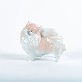 Pomeranian Dog 01008338 - Lladro Porcelain Figure