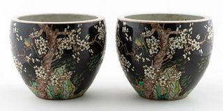 PAIR, CHINESE FAMILLE NOIR CHERRY BLOSSOM PLANTERS