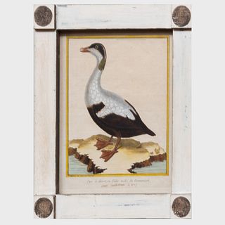 François Nicolas Martinet (1731-1804): Ornithological Prints: Four Plates