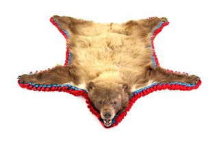 Montana Cinnamon Black Bear Hide Rug Taxidermy