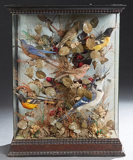 Victorian Taxidermied Bird Ebonized Wood Display Box, 19th c., with glazed front and sides, containing six birds and greenery, H.- 20 1/2 in., W.- 16 