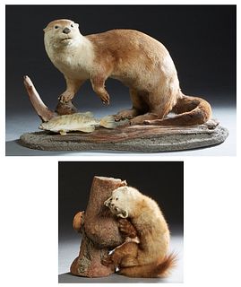 Two Taxidermied Animals, 20th c., consisting of a river otter on a shaped wooden base, H.- 18 in., W.- 28 in., D.- 15 1/2 in.; together with a tree ma