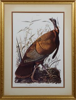 John James Audubon (1785-1851, Haitian/American), "Wild Turkey," plate 1, 20th c., presented in a gilt frame, H.- 32 3/8 in., W.- 22 in.