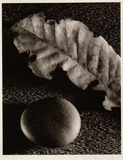Ruth Bernhard
(American, 1905-2006)
Leaf and Stone