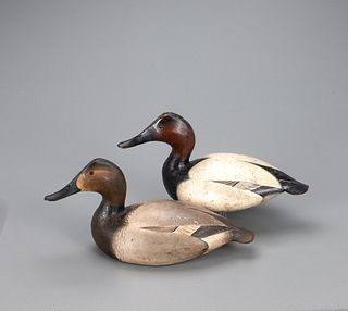 The Purnell-Muller Ward Canvasback Pair, The Ward Brothers