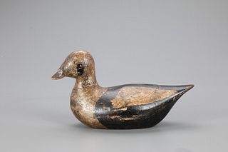 Hollow Long-Tailed Duck Decoy