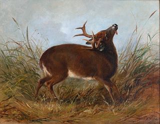 Arthur Fitzwilliam Tait (1819-1905) The Wounded Stag
