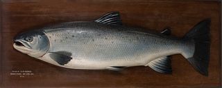 37 lb. Trophy Atlantic Salmon Carving