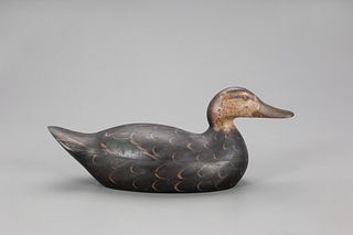 Outstanding Black Duck Decoy, Mason Decoy Factory (1896-1924)
