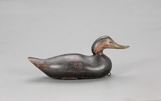 Challenge-Grade Black Duck Decoy, Mason Decoy Factory (1896-1924)