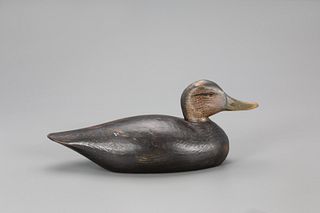 "Iver Johnson" Black Duck Decoy, A. Elmer Crowell (1862-1952)